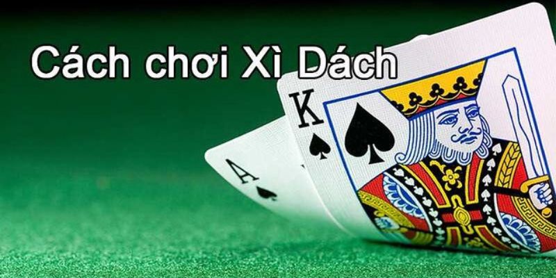 cách chơi xì dách